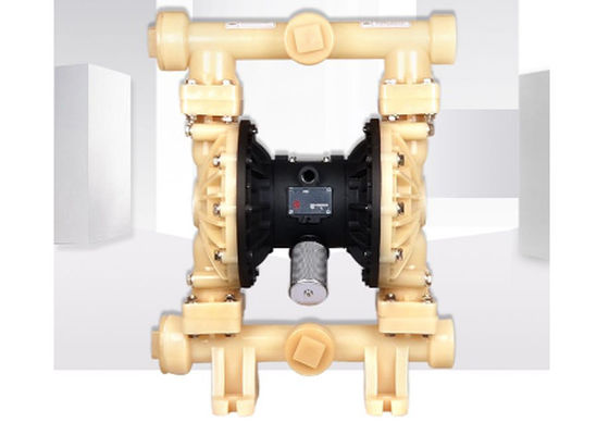 Pompa a diaframma pneumatica a 2 pollici di PVDF DN125 doppia